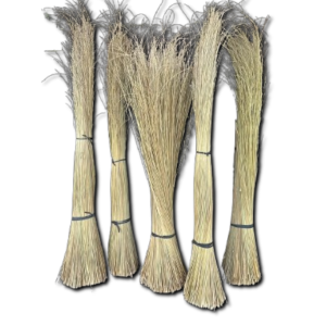 Palm Broom Stick